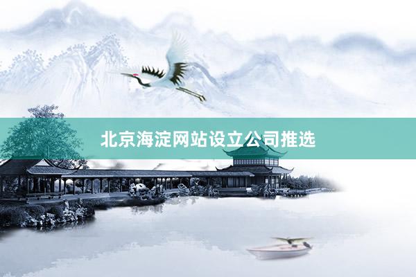 北京海淀网站设立公司推选